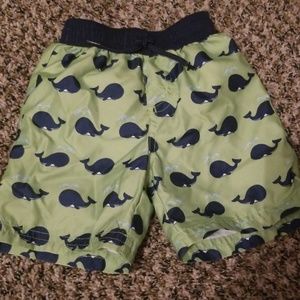 Little boys swim shorts